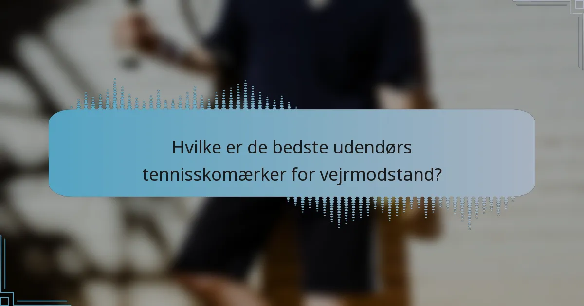 Hvilke er de bedste udendørs tennisskomærker for vejrmodstand?