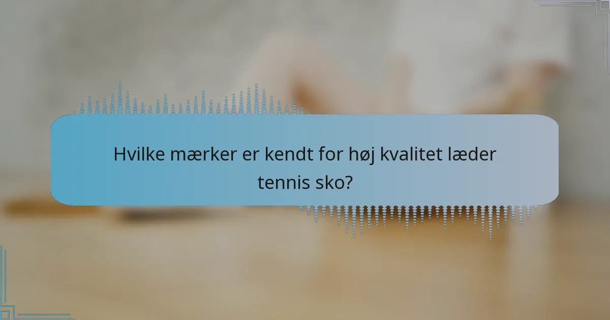 Hvilke mærker er kendt for høj kvalitet læder tennis sko?