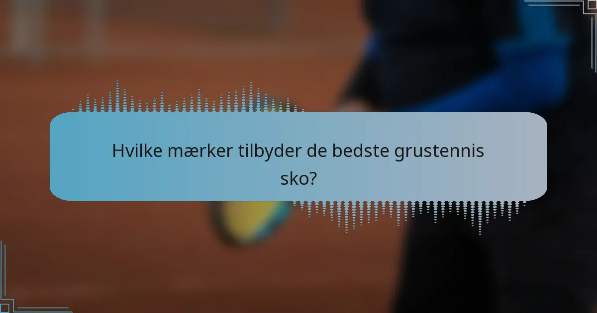 Hvilke mærker tilbyder de bedste grustennis sko?