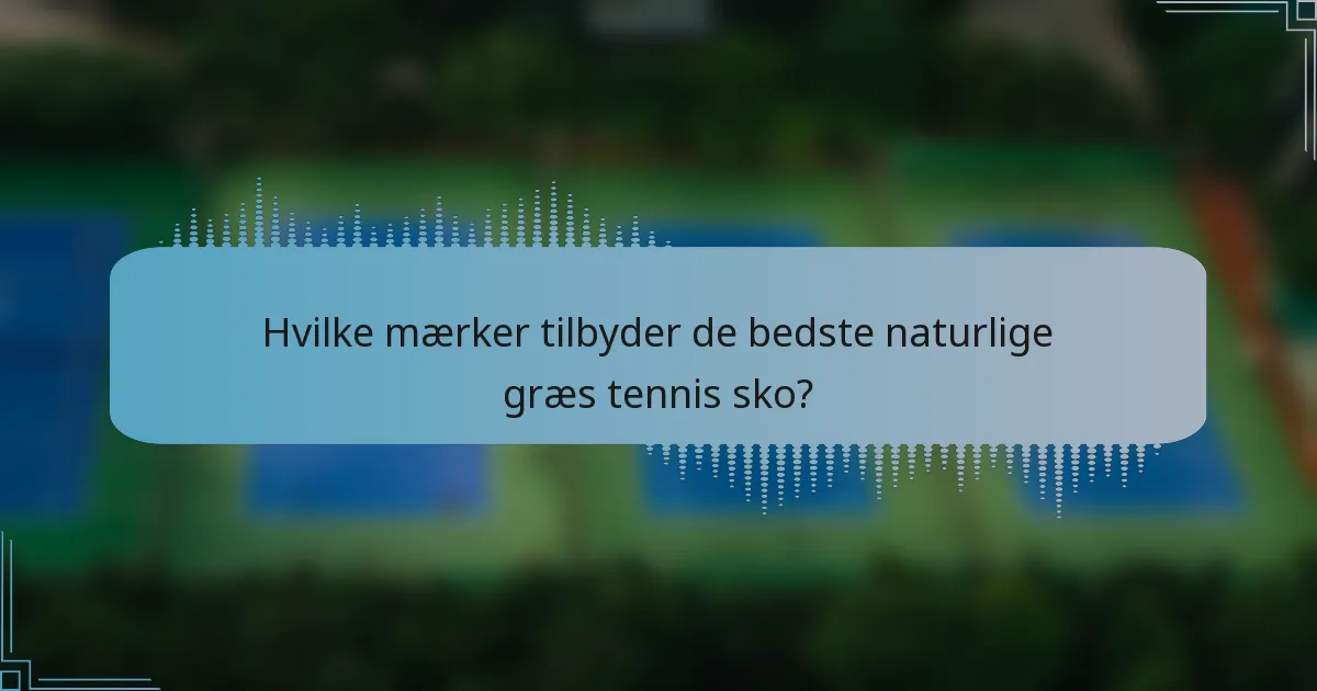Hvilke mærker tilbyder de bedste naturlige græs tennis sko?