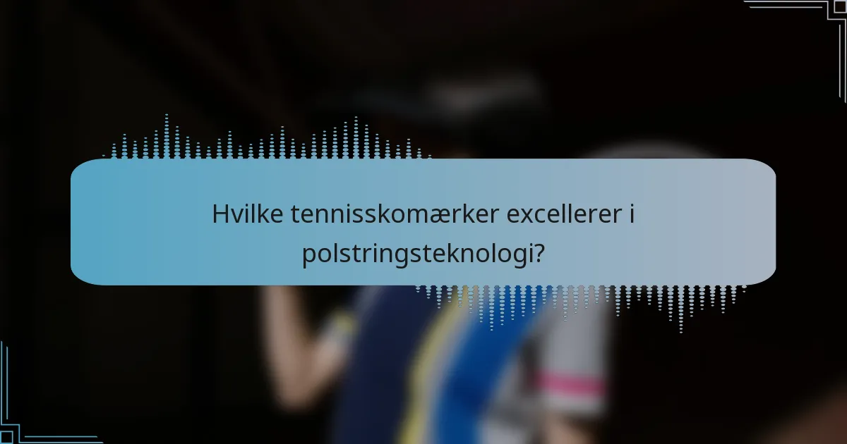 Hvilke tennisskomærker excellerer i polstringsteknologi?