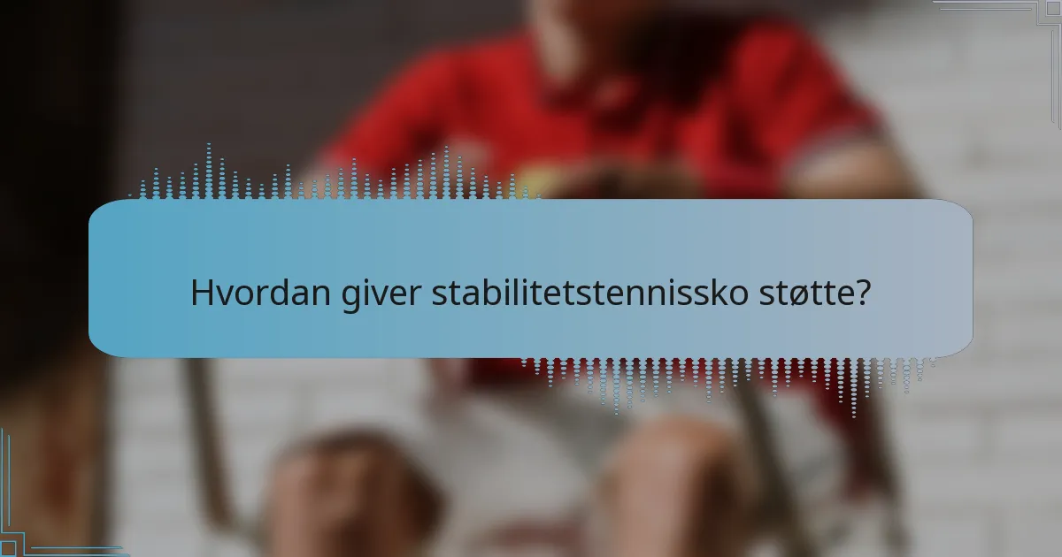 Hvordan giver stabilitetstennissko støtte?
