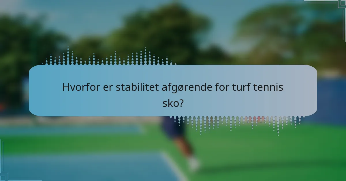 Hvorfor er stabilitet afgørende for turf tennis sko?